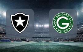 Botafogo RJ - Goias