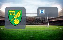 Norwich City - Brighton & Hove Albion
