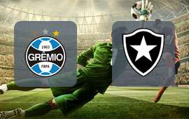 Gremio - Botafogo RJ