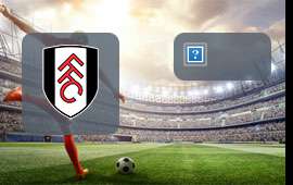 Fulham - Brighton & Hove Albion