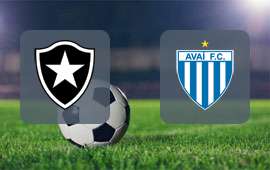 Botafogo RJ - Avai FC